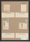 Gomphonema abbreviatum Ag. (de-Toni-Nr.: Genus 37, Species 1751) Zeichnungen Sammlung Grunow Nr. 3486 (NHMW-BOT-W0371041)